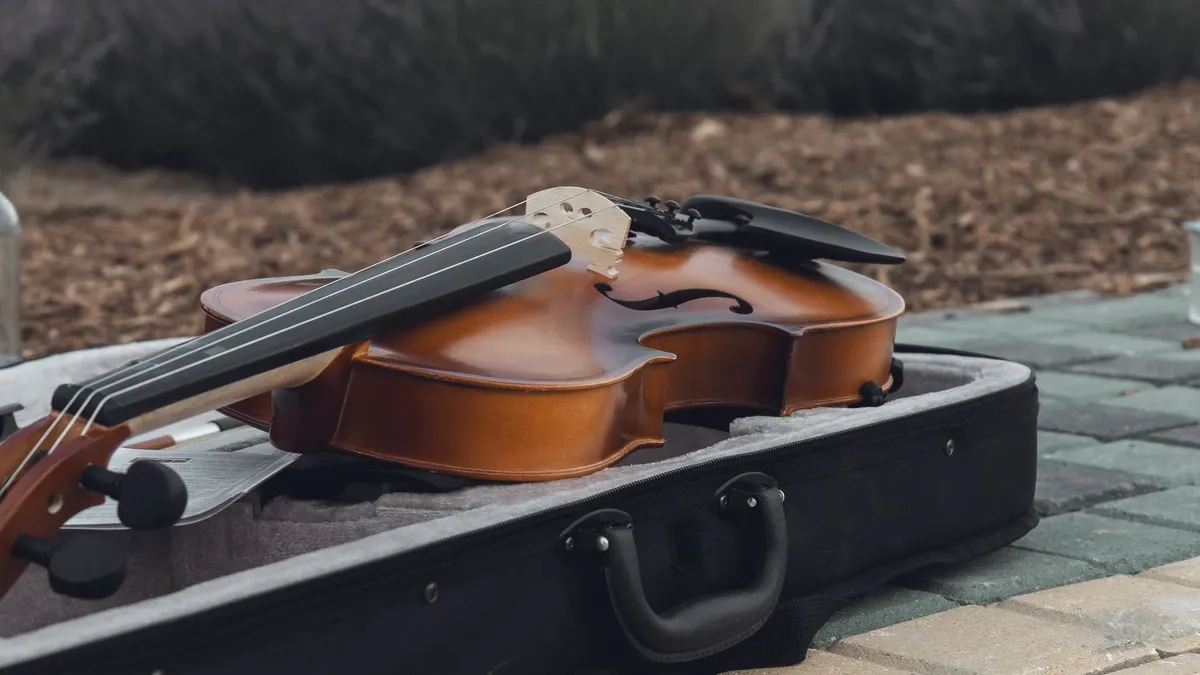 Violon 4/4 étude avec archet et étui — photo 1