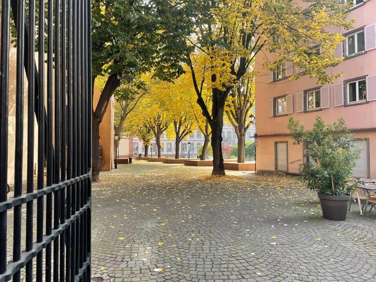 T2 45 m² centre-ville – Colmar, sans travaux — photo 1