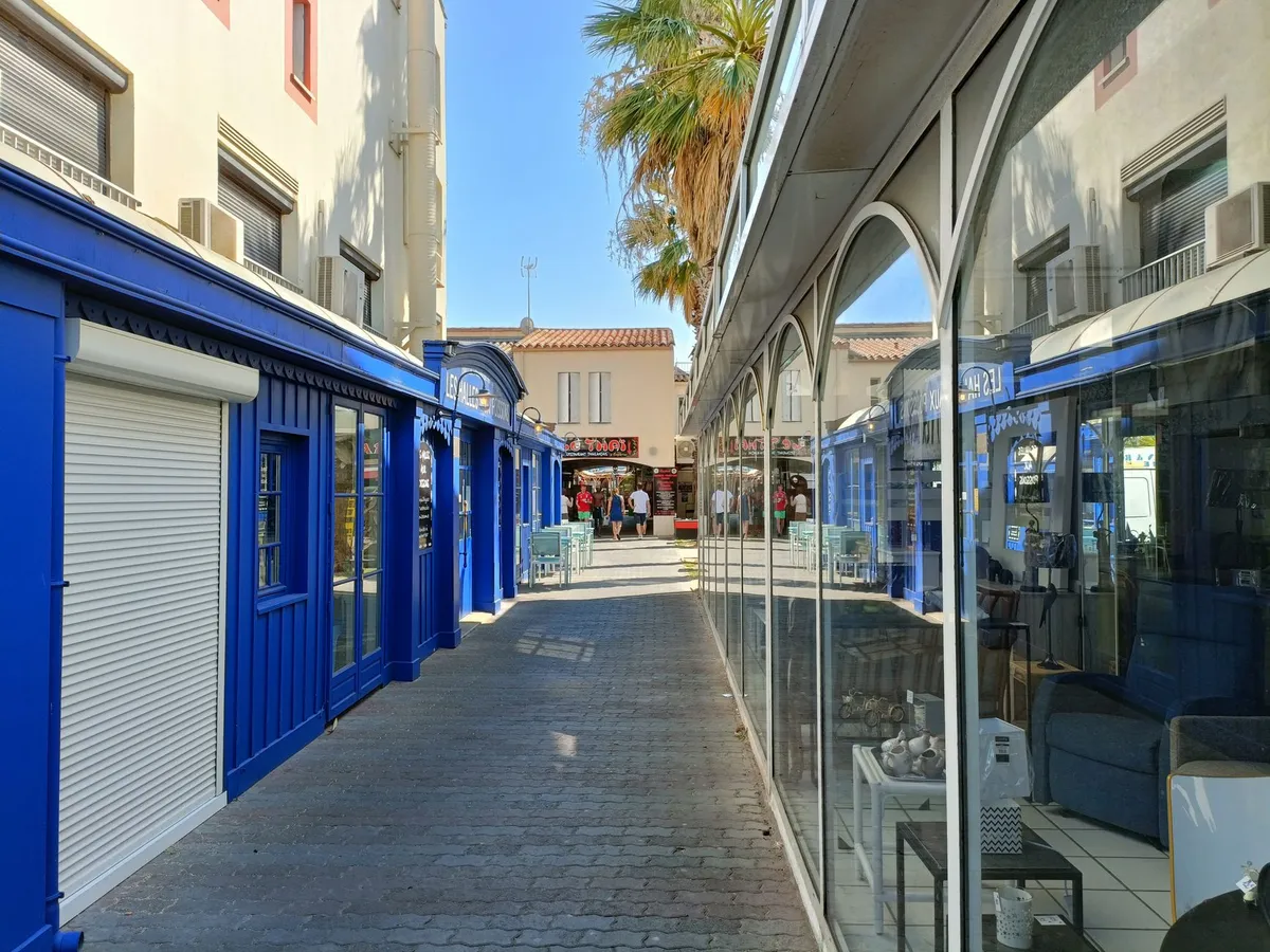 Immo Rhénane – Studio 24 m² proche fac, loué (investissement) — photo 1