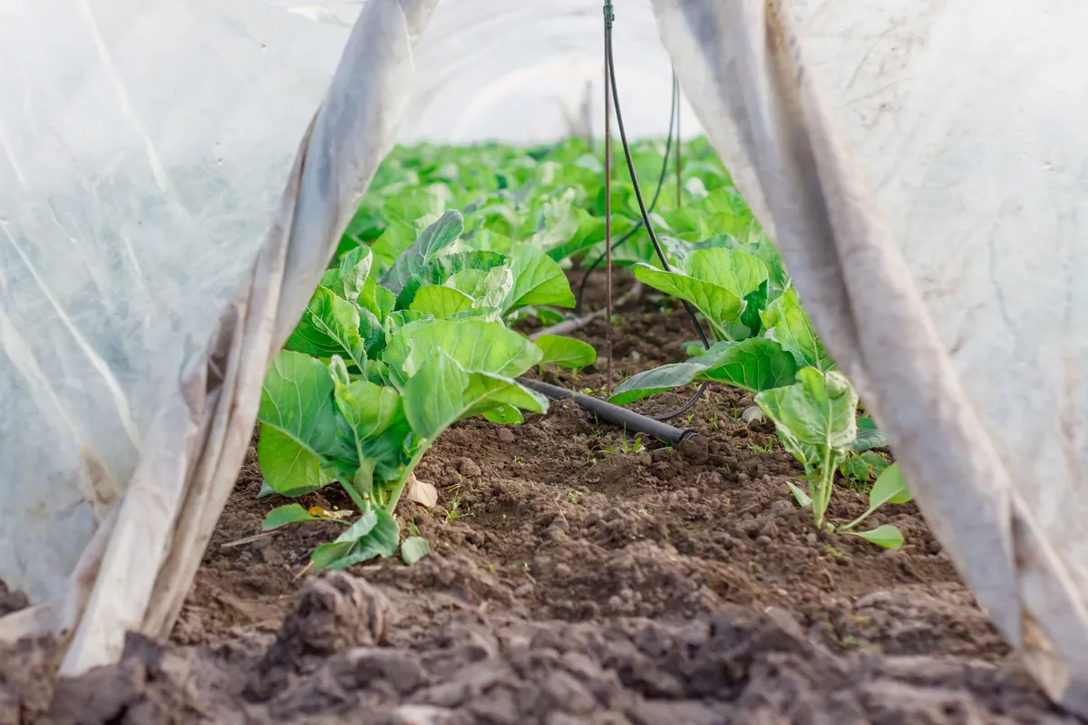 Serre de jardin tunnel 6 m² avec bâche renforcée — photo 1